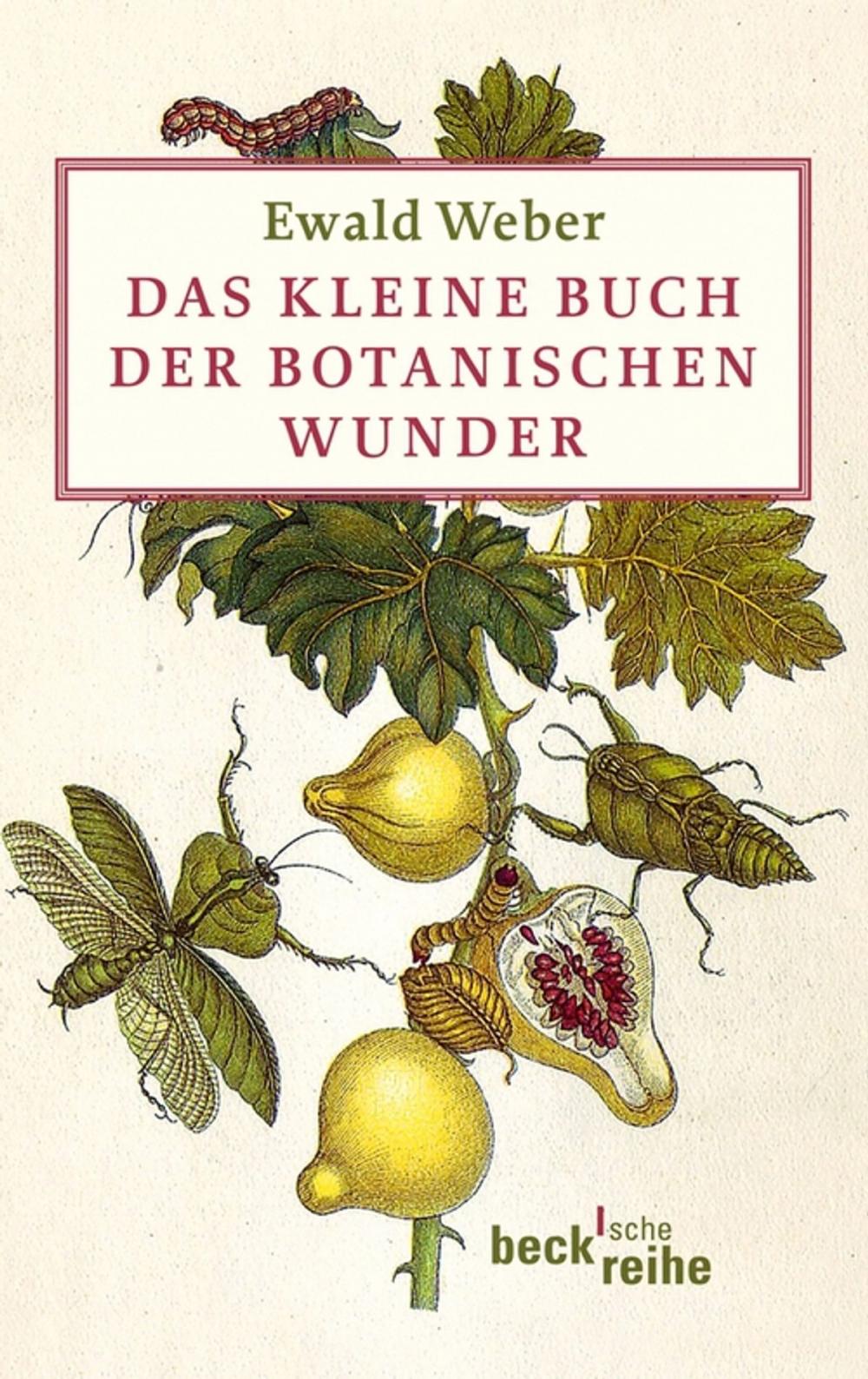 Big bigCover of Das kleine Buch der botanischen Wunder