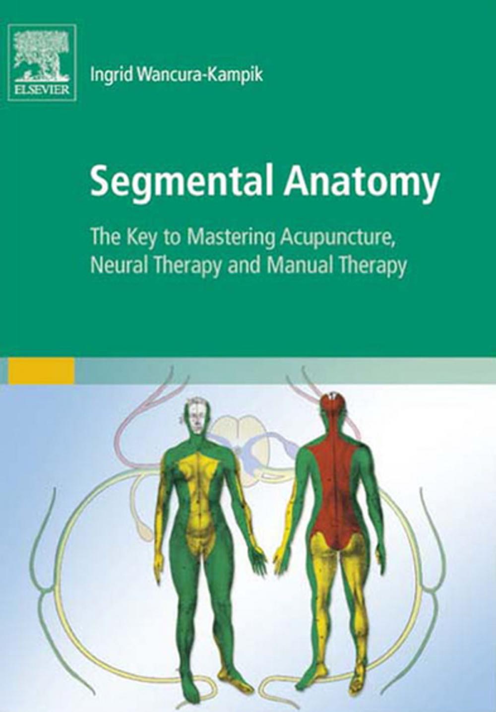 Big bigCover of Segmental Anatomy