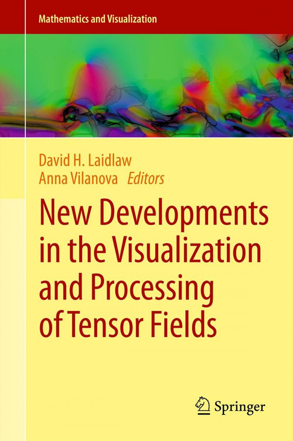 Big bigCover of New Developments in the Visualization and Processing of Tensor Fields