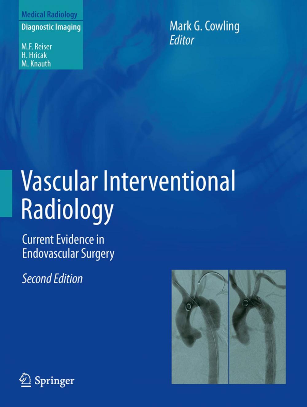 Big bigCover of Vascular Interventional Radiology