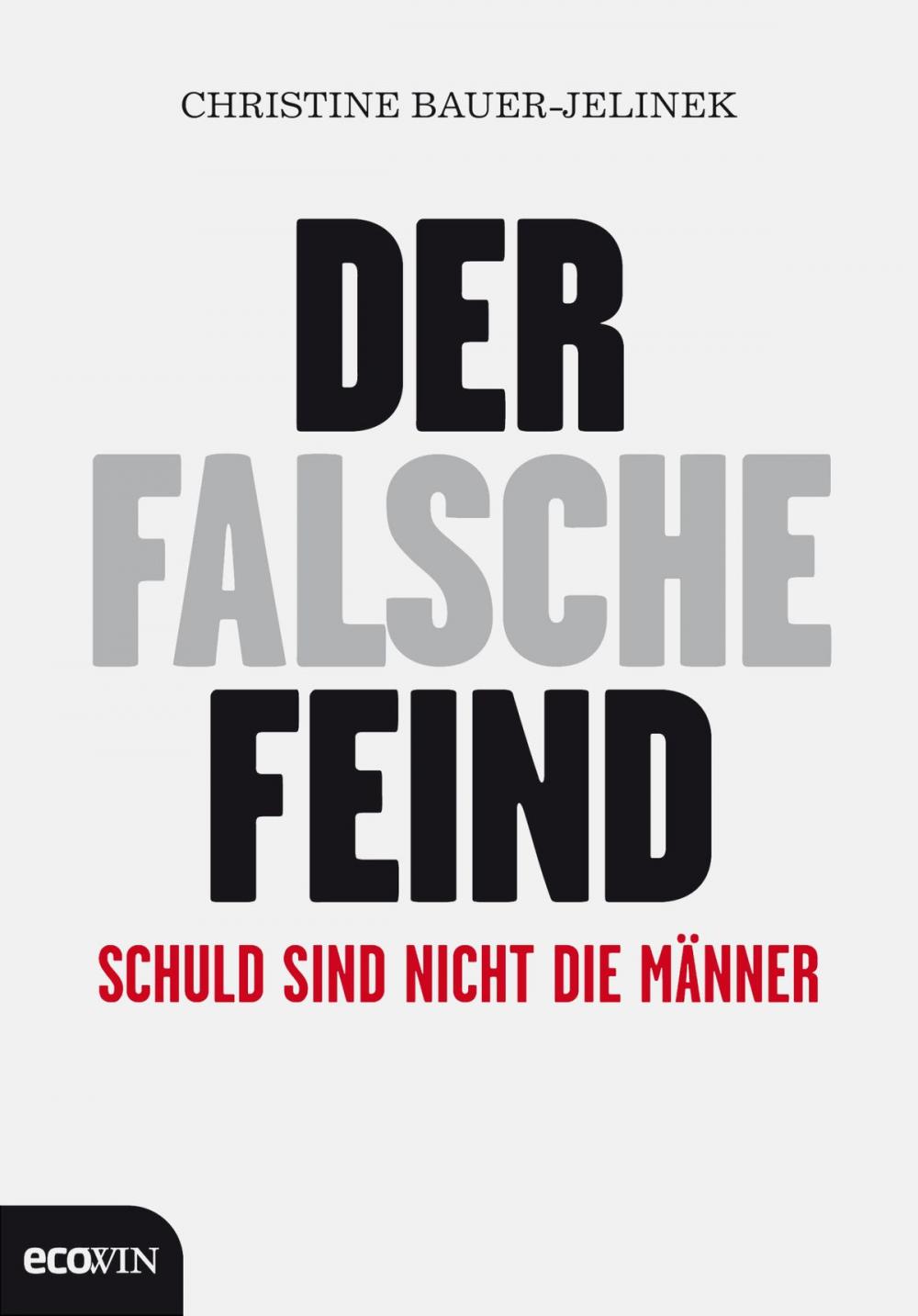 Big bigCover of Der falsche Feind