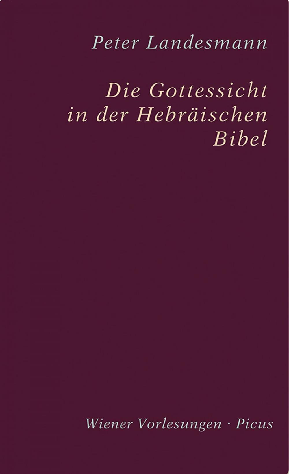 Big bigCover of Die Gottessicht in der Hebräischen Bibel