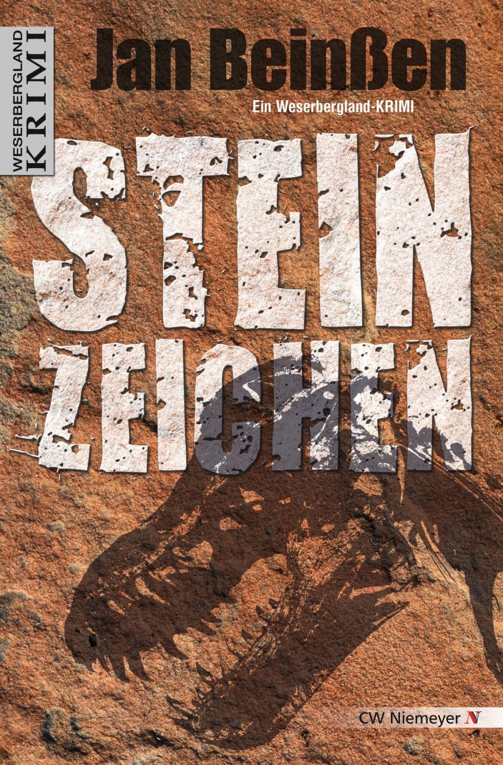 Big bigCover of Steinzeichen