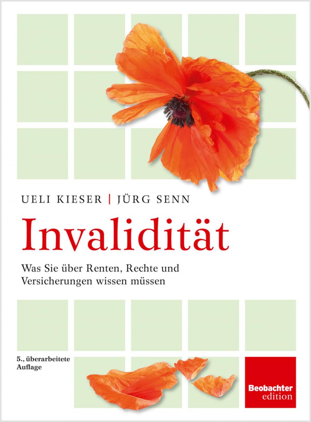 Big bigCover of Invalidität