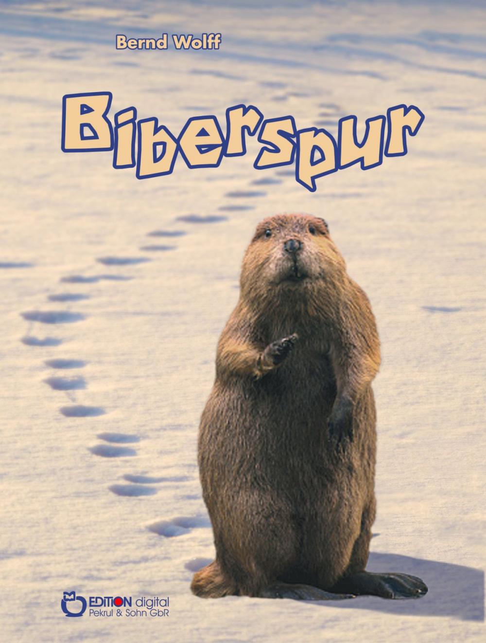 Big bigCover of Biberspur