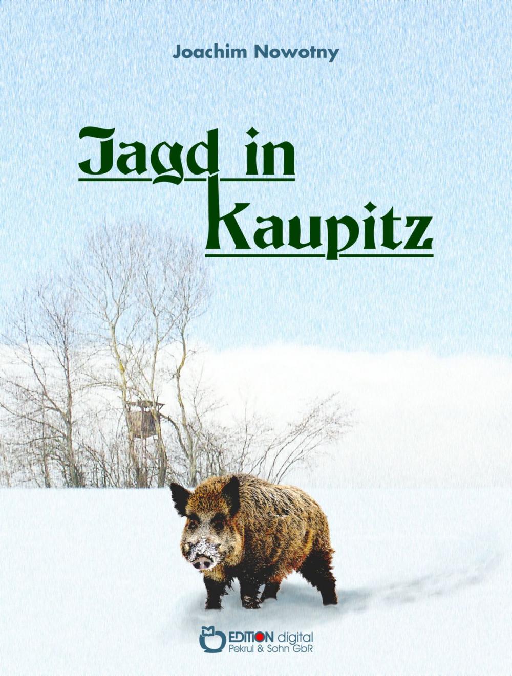 Big bigCover of Jagd in Kaupitz