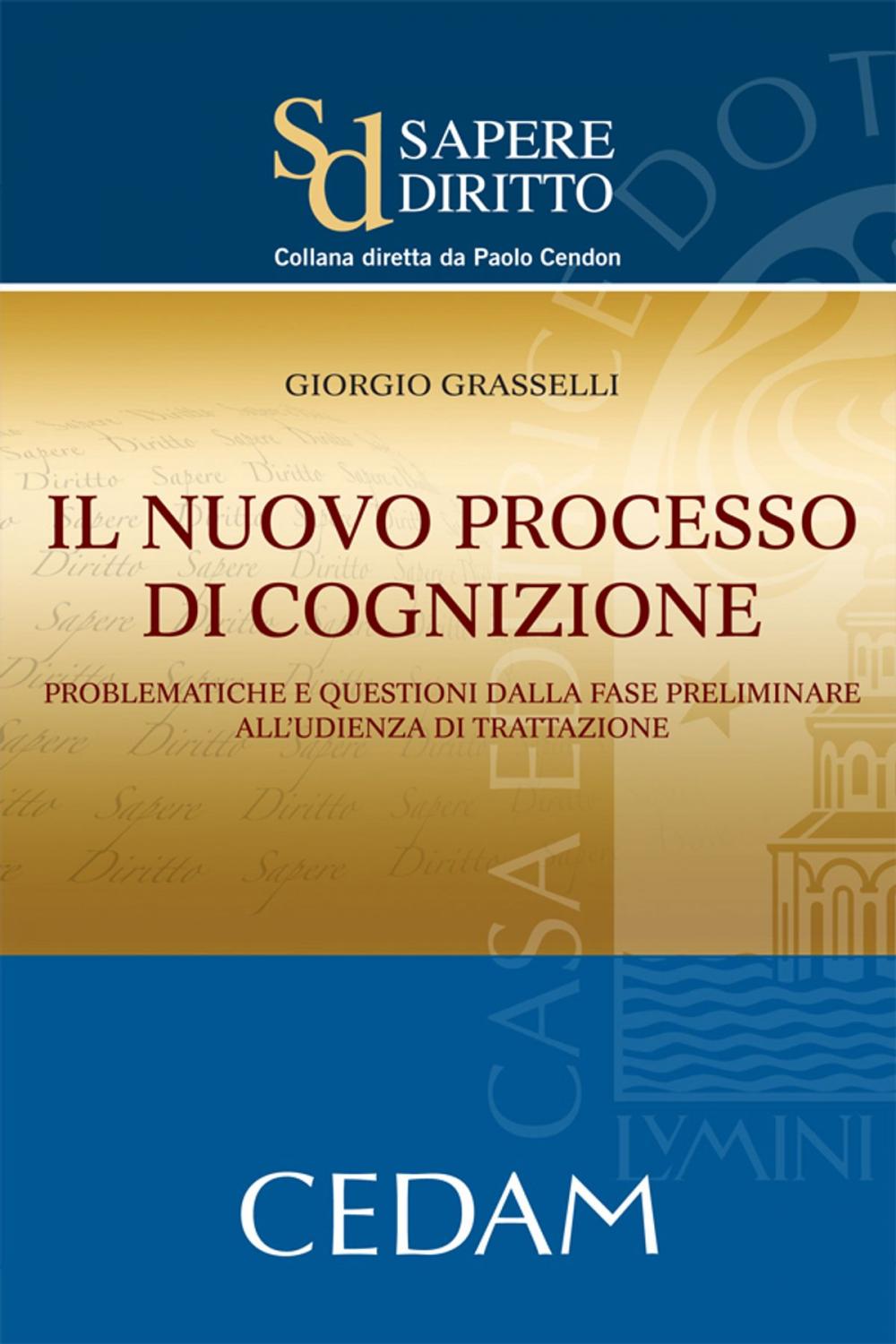 Big bigCover of Il nuovo processo di cognizione