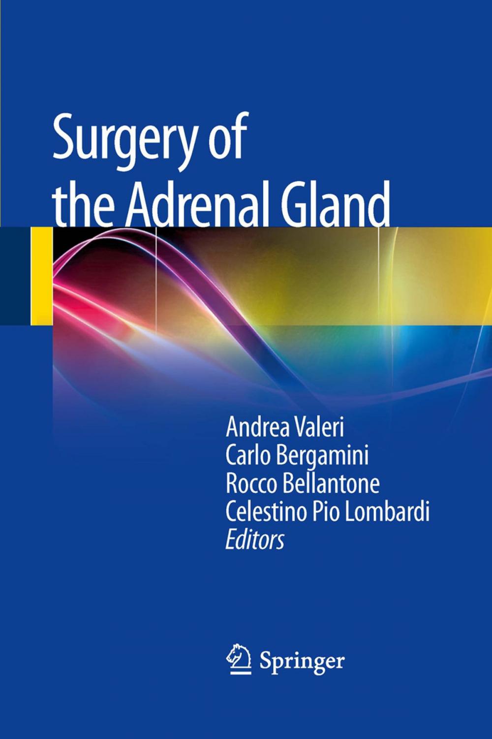 Big bigCover of Surgery of the Adrenal Gland