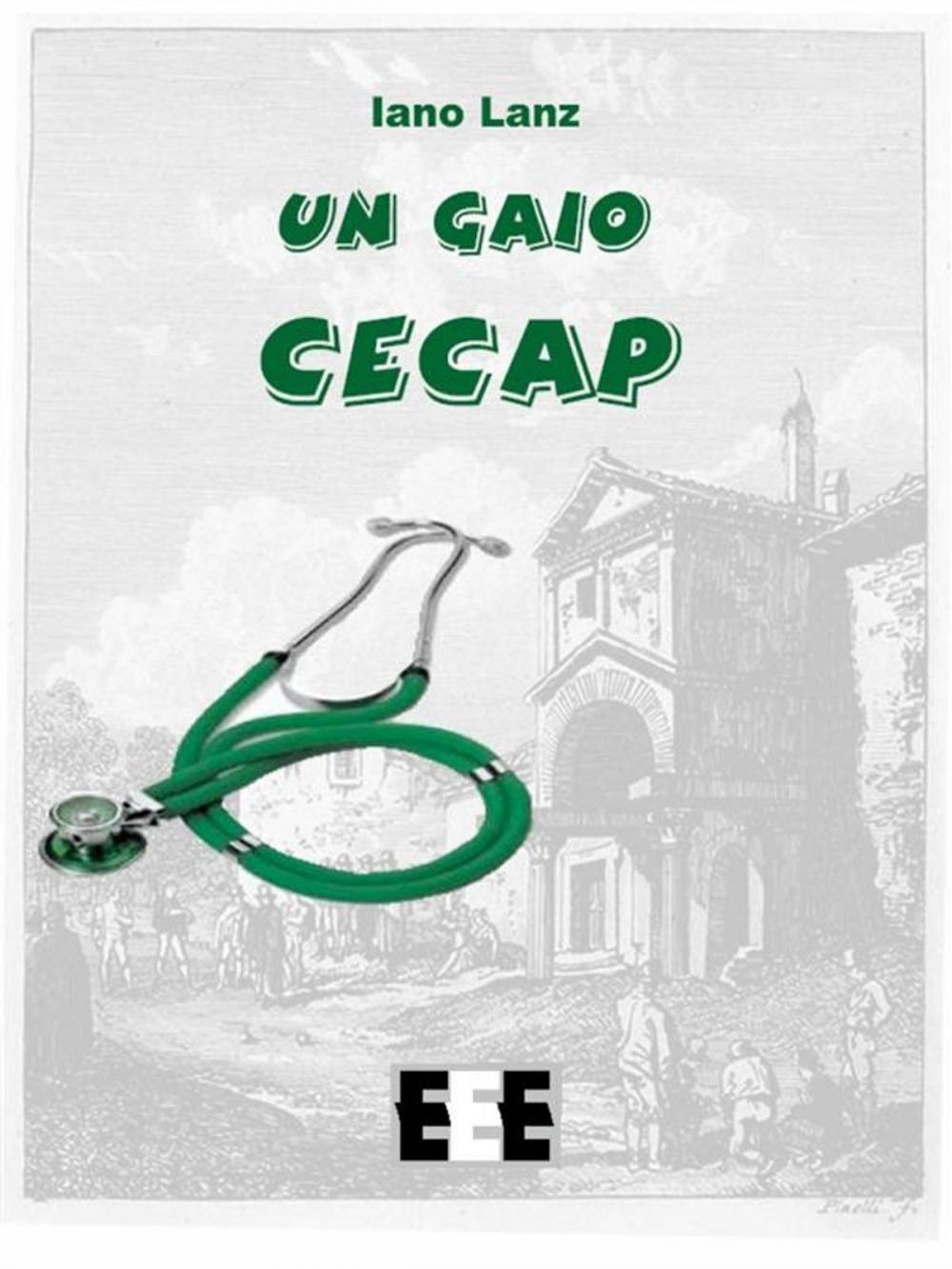 Big bigCover of Un gaio cecap