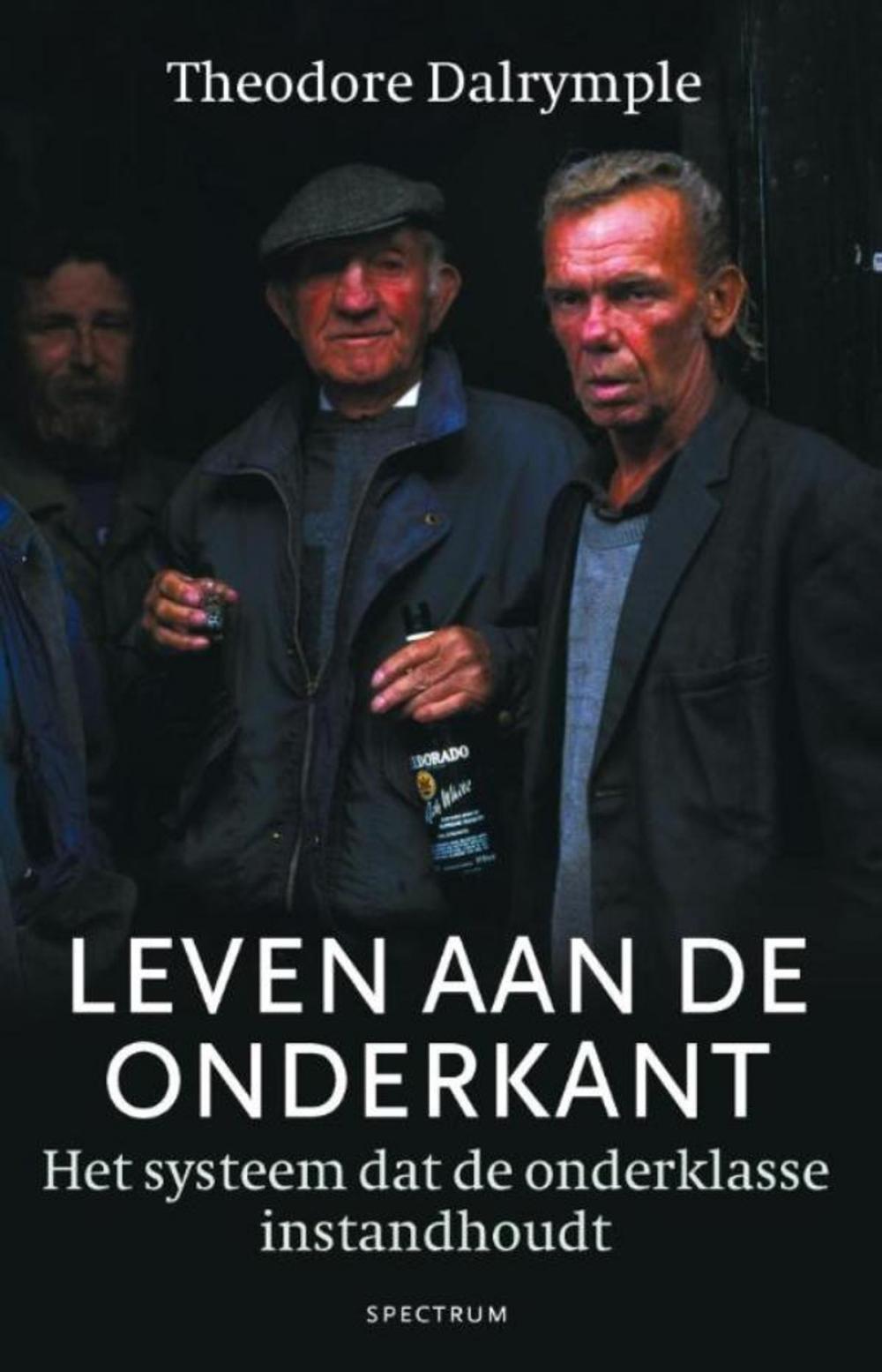 Big bigCover of Leven aan de onderkant