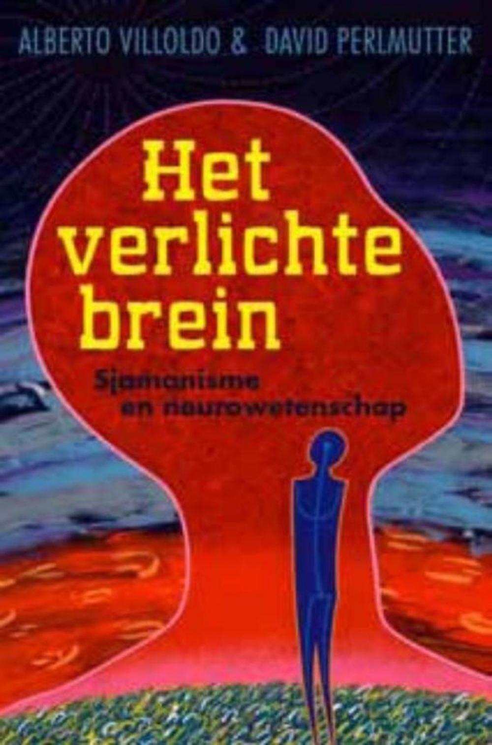 Big bigCover of Het verlichte brein