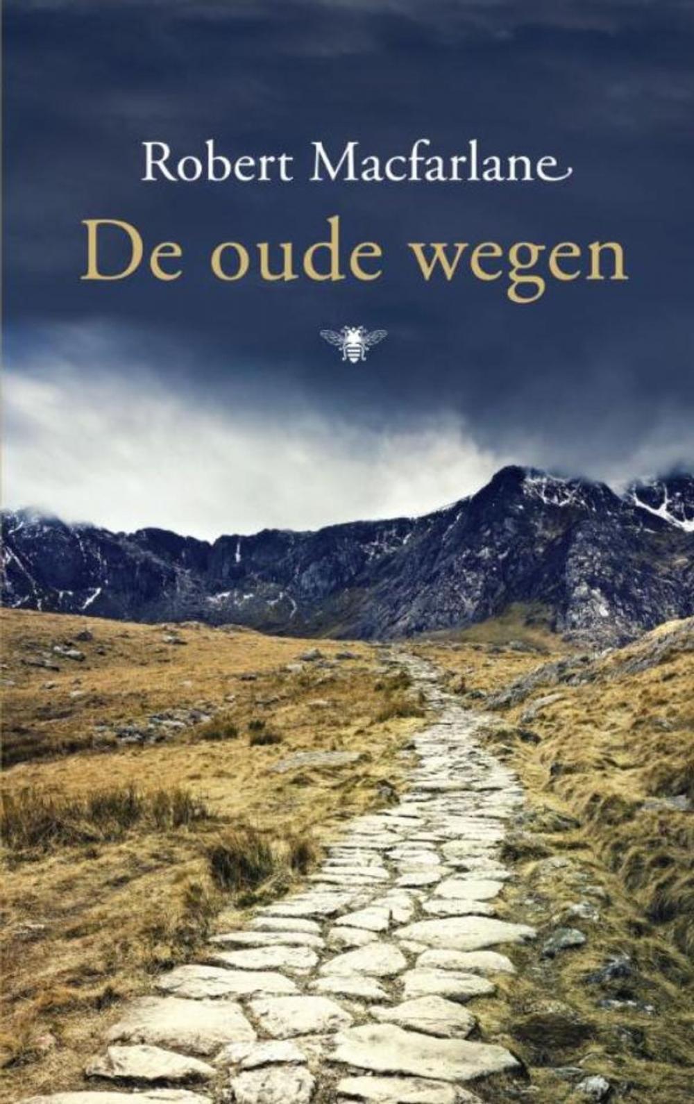 Big bigCover of De oude wegen