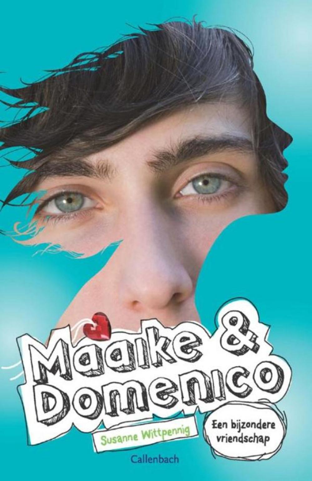 Big bigCover of Maaike en Domenico