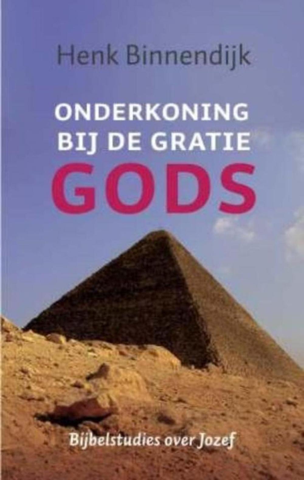 Big bigCover of Onderkoning bij de gratie Gods