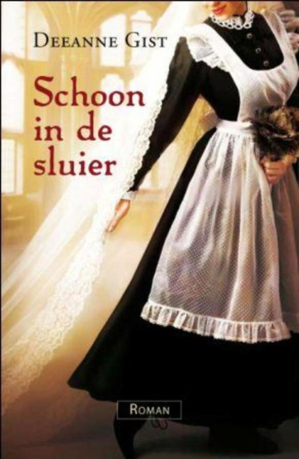 Big bigCover of Schoon in de sluier