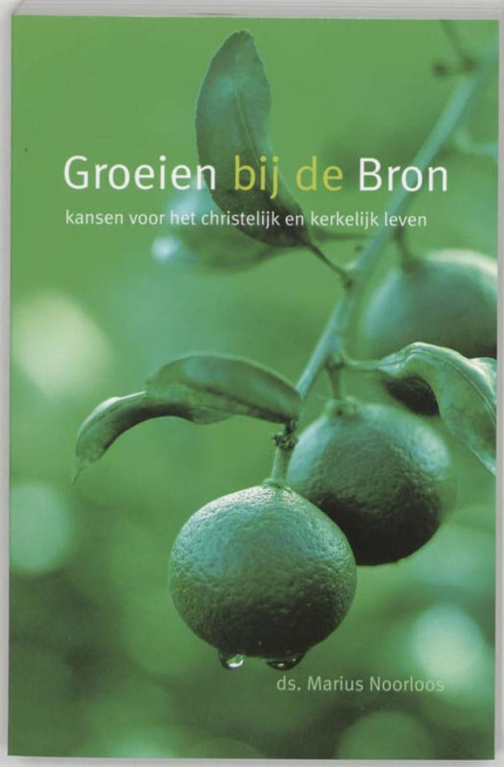 Big bigCover of Groeien bij de Bron