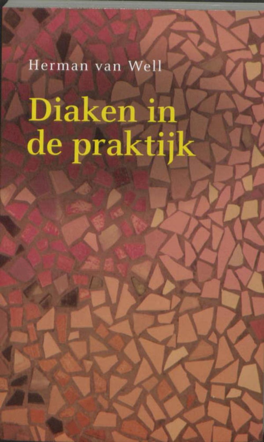 Big bigCover of Diaken in de praktijk