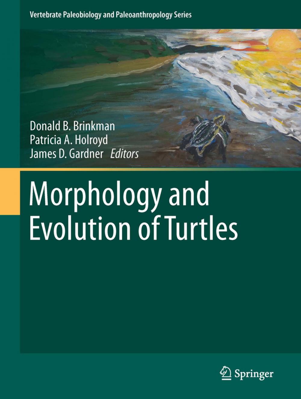 Big bigCover of Morphology and Evolution of Turtles