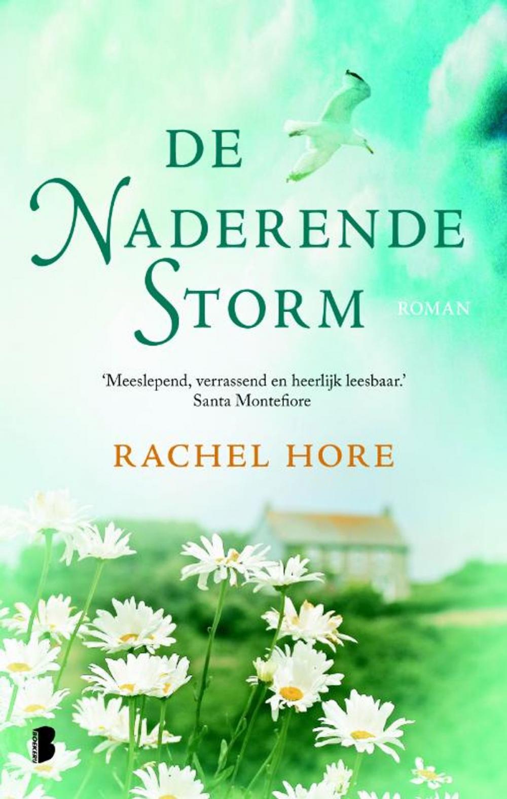 Big bigCover of De naderende storm