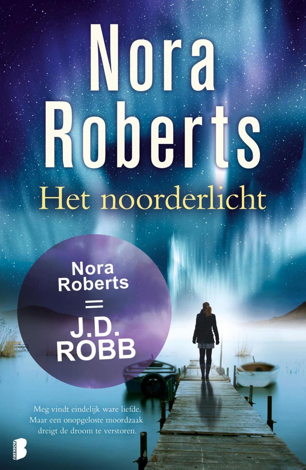 Big bigCover of Het noorderlicht