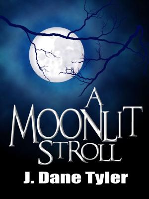 Cover of the book A Moonlit Stroll by Martha Wickham