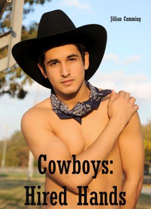 Cover of the book Cowboys: Hired Hands by Lucy Lambert