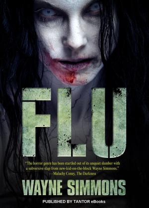 Cover of the book Flu by Steve Dreben