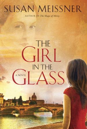 Cover of the book The Girl in the Glass by John Schlimm