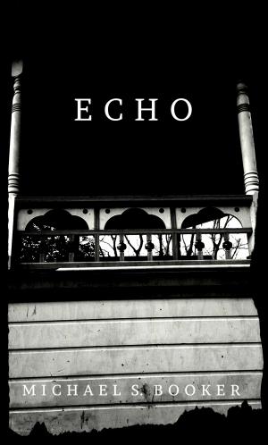 bigCover of the book Echo by 