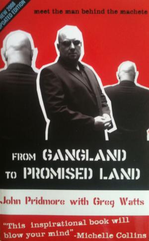 Cover of the book From Gangland to Promised Land by Taniform Martin Wanki