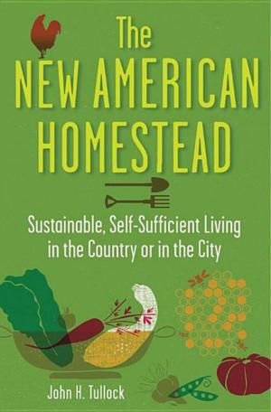 Cover of the book The New American Homestead by John Gribbin