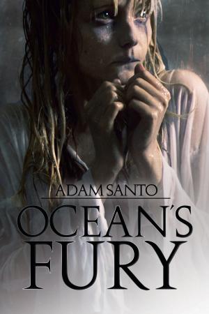 Cover of the book Ocean's Fury by A. M. Leibowitz
