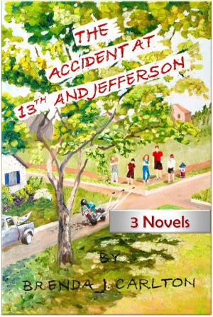 Cover of the book The Accident at 13th and Jefferson by Sushma Joshi