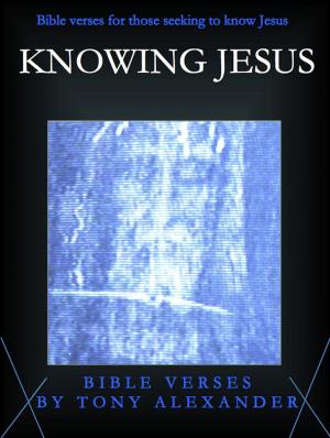 Cover of the book Knowing Jesus Bible Verses by Steve Kindorf
