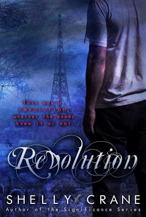 Cover of the book Revolution by R. Valentine