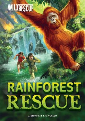 Cover of the book Rainforest Rescue by Charles Vincent Ghigna