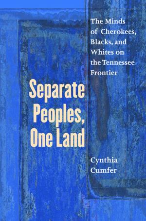 Cover of the book Separate Peoples, One Land by Jeremy Friedman