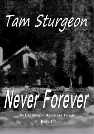 Cover of the book Never Forever: The Champagne Hurricane Trilogy - Book 1 by Alexandra Sellers