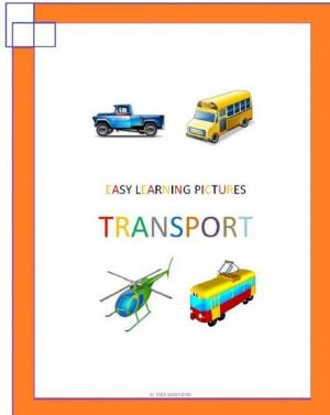 Book cover of Easy Learning Pictures. Transport