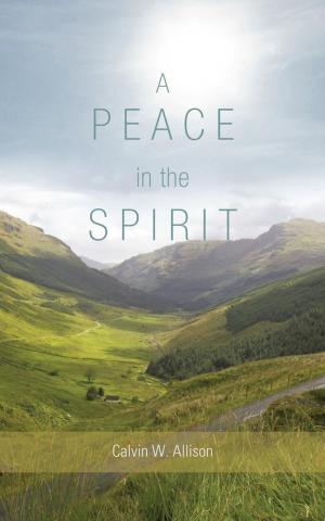 Cover of the book A Peace in the Spirit by Pat Kennedy