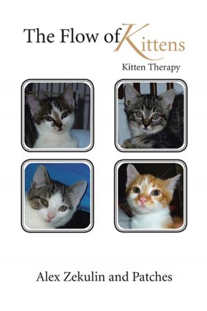 Cover of the book The Flow of Kittens by Paul Barber