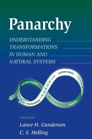 Cover of the book Panarchy by David M. Gillilan, Thomas C. Brown