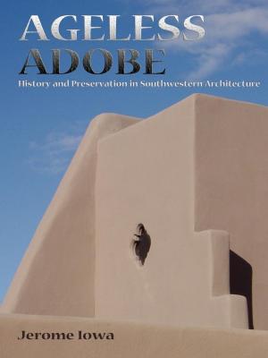 Cover of the book Ageless Adobe by Teddy Jones, Sue Jane Sullivan