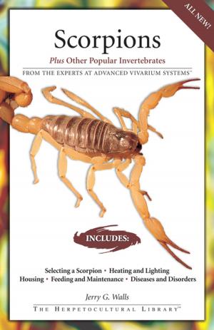 Cover of the book Scorpions by Philippe De Vosjoli, Roger Klingenberg, Jeff Ronne