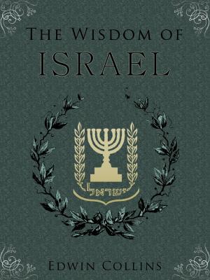Cover of the book The Wisdom Of Israel by B.Z. Goldberg
