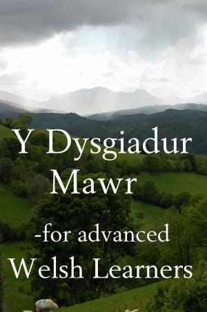 Cover of the book Y Dysgiadur Mawr by Daniel Welsch