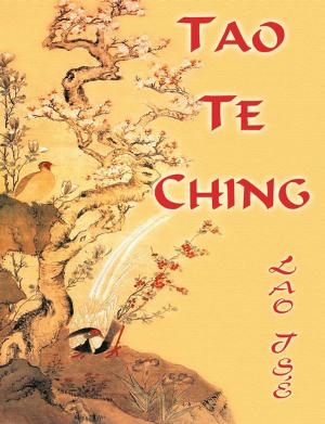 Cover of the book Tao Te Ching by Samuel Obute
