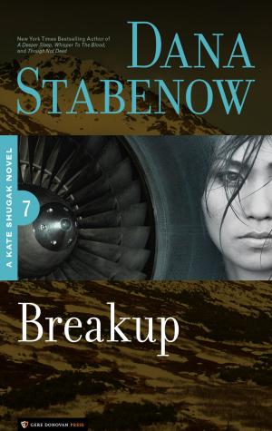 Cover of the book Breakup by Joanna Campbell Slan