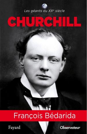 Cover of the book Churchill by Roger Auque, Jean-Michel Verne