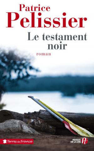 Book cover of Le testament noir